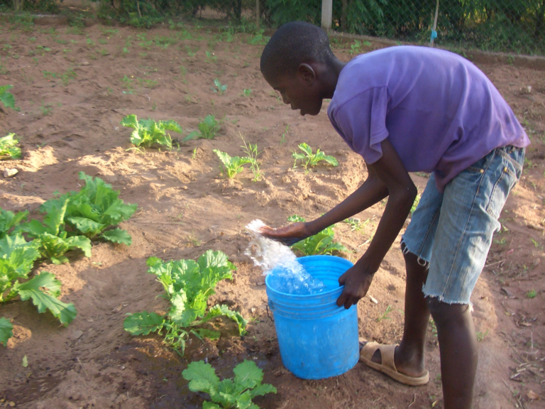 De kinderen leren zelfvoorzienend te zijn. De jongens zorgen voor de kippen, onderhouden een moestuin en in de avond helpen ze met koken.